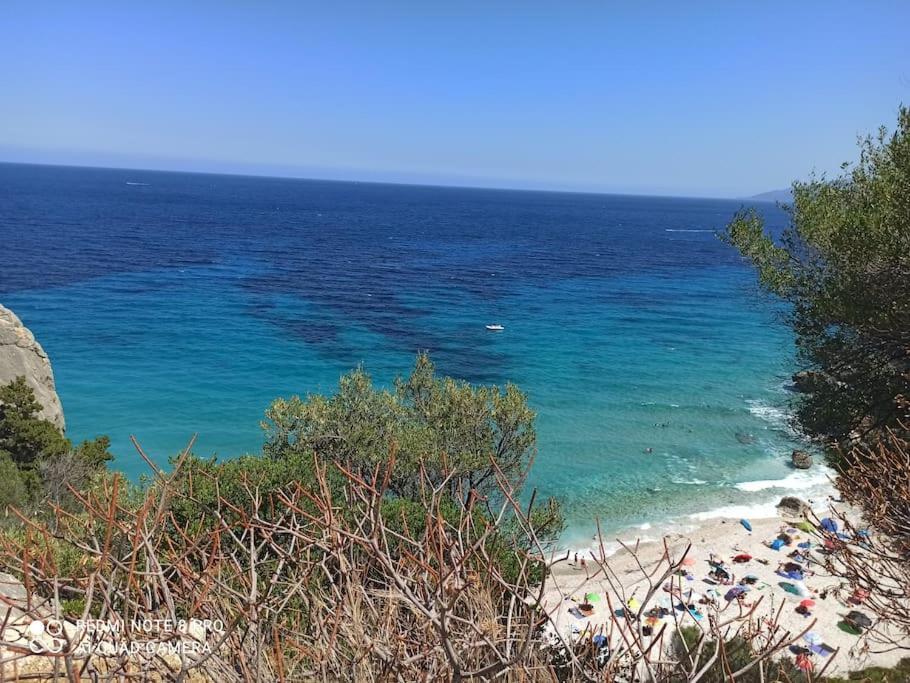 Haiku Home Cala Gonone Eksteriør bilde